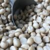 Macadamia