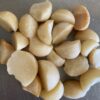 Macadamia - Image 4